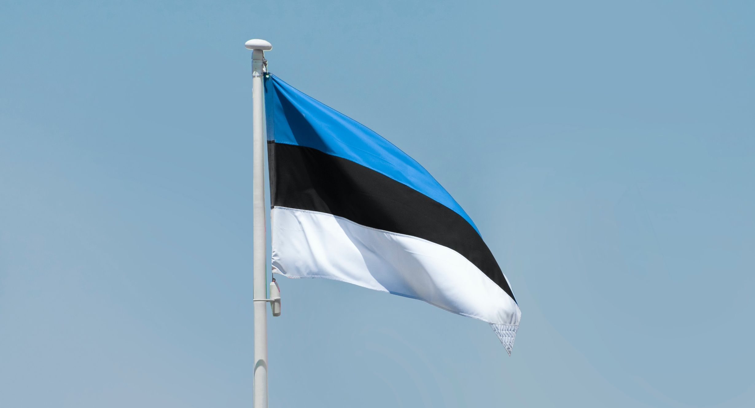 bandera-estonia